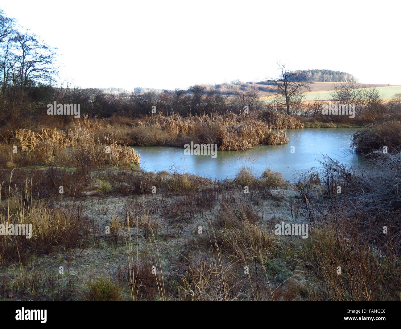 Pool und Trockenrasen im winter Stockfoto