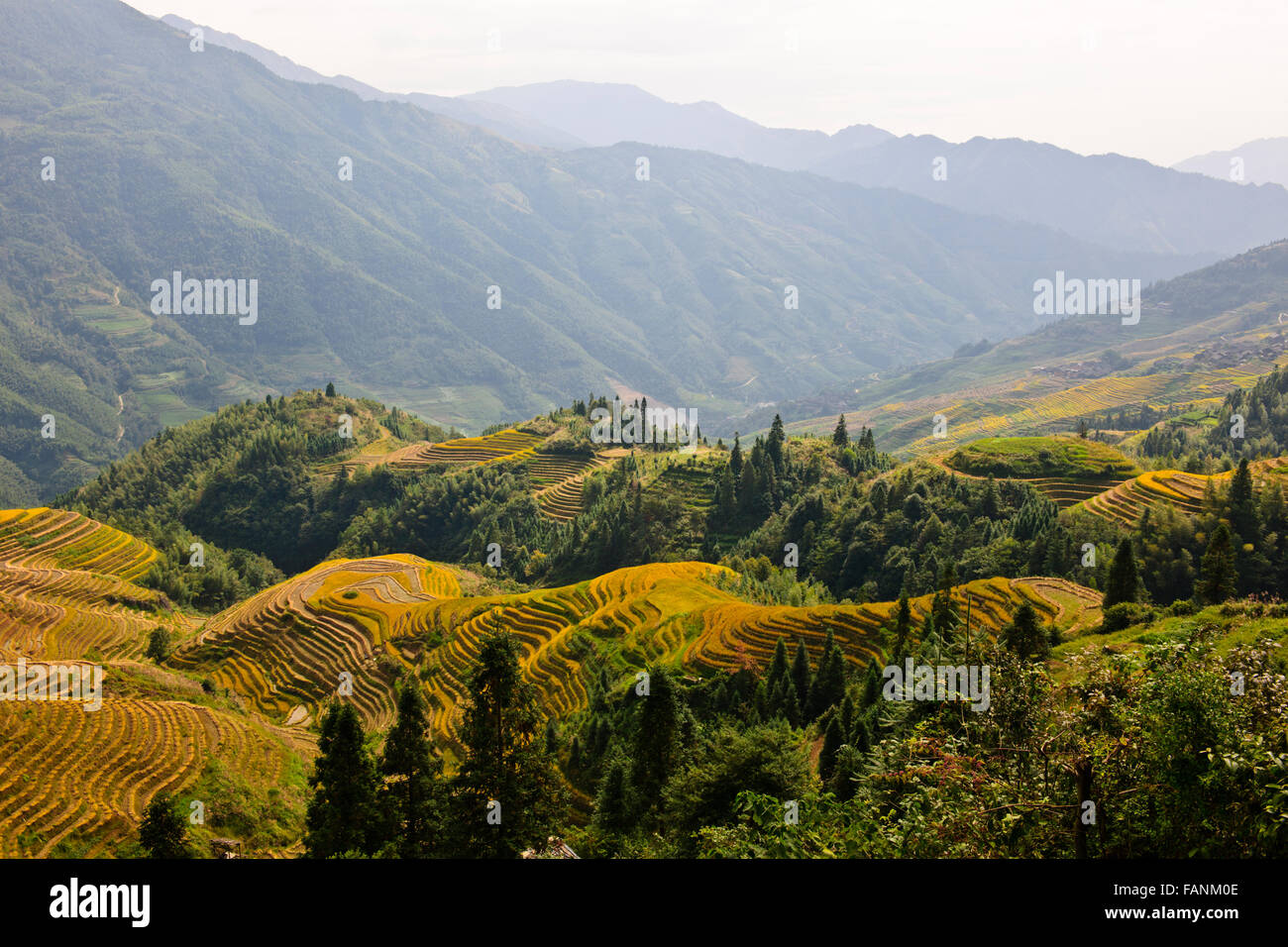 Sieben Sterne mit dem Mond, Longji alten Zhaung terrassierten Felder, umgebenden Bereich Reisterrassen und Kulturen Zhuang und Yao Village Stockfoto