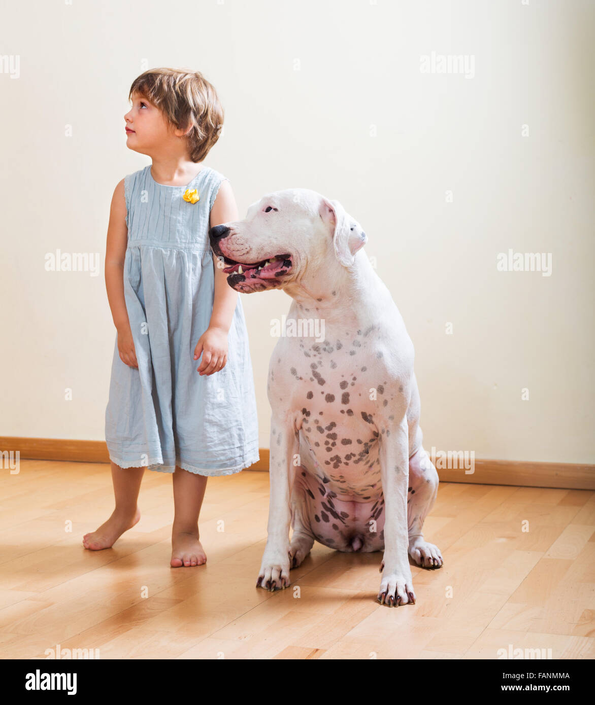 Kleines Mädchen mit großen weißen Hund auf dem Boden in Wohngebäude. Hund im Fokus Stockfoto