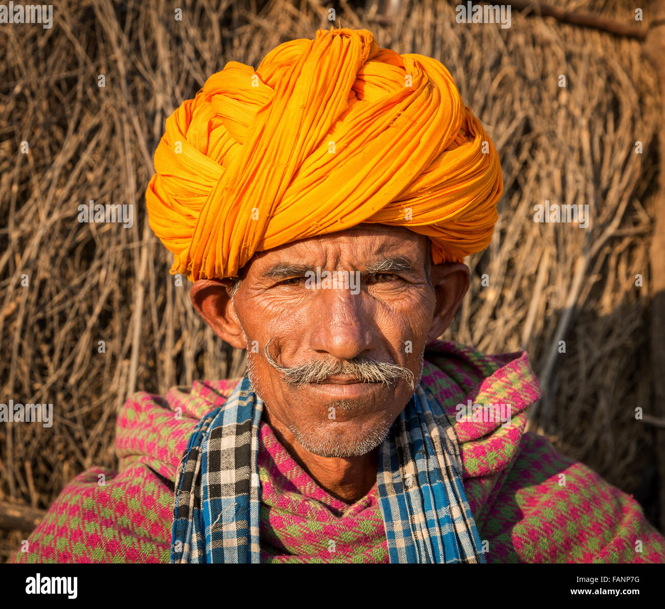 Porträt von einem senior Rajasthani und mit einem gelben Turban, Pushkar, Rajasthan, Indien Stockfoto