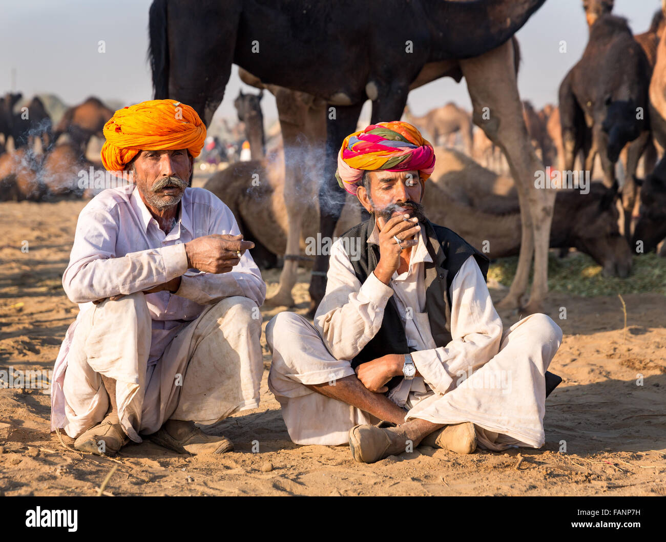 Porträt von zwei Rajasthani Männer rauchen vor ihren Kamelen, Pushkar, Rajasthan, Indien Stockfoto