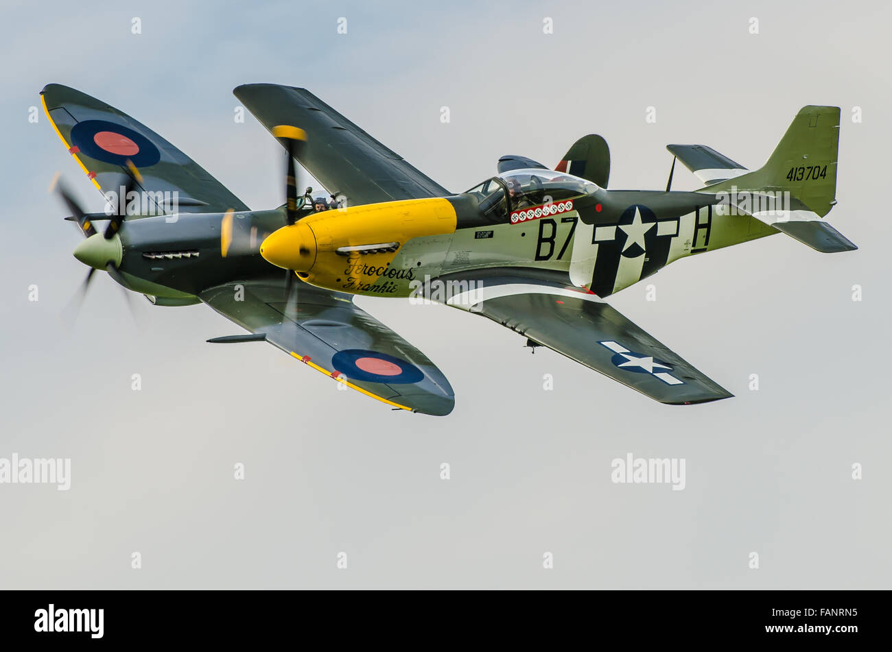 Der zweite Weltkrieg der Old Flying Machine Company Spitfire und P-51 Mustang, die 2015 beim Goodwood Revival gezeigt wurden Stockfoto