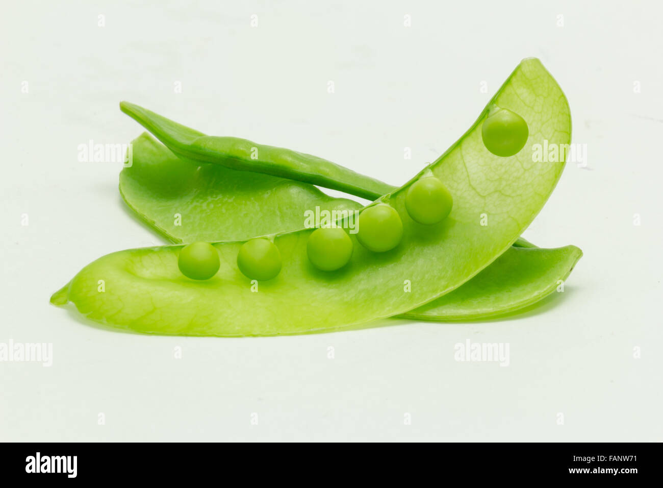 Snow Pea isoliert auf weißem Hintergrund Stockfoto