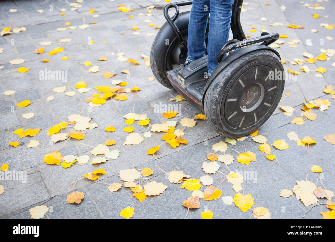 Besucher auf Segway durch die Stadt auf Herbst. Boden voller Blätter Stockfoto