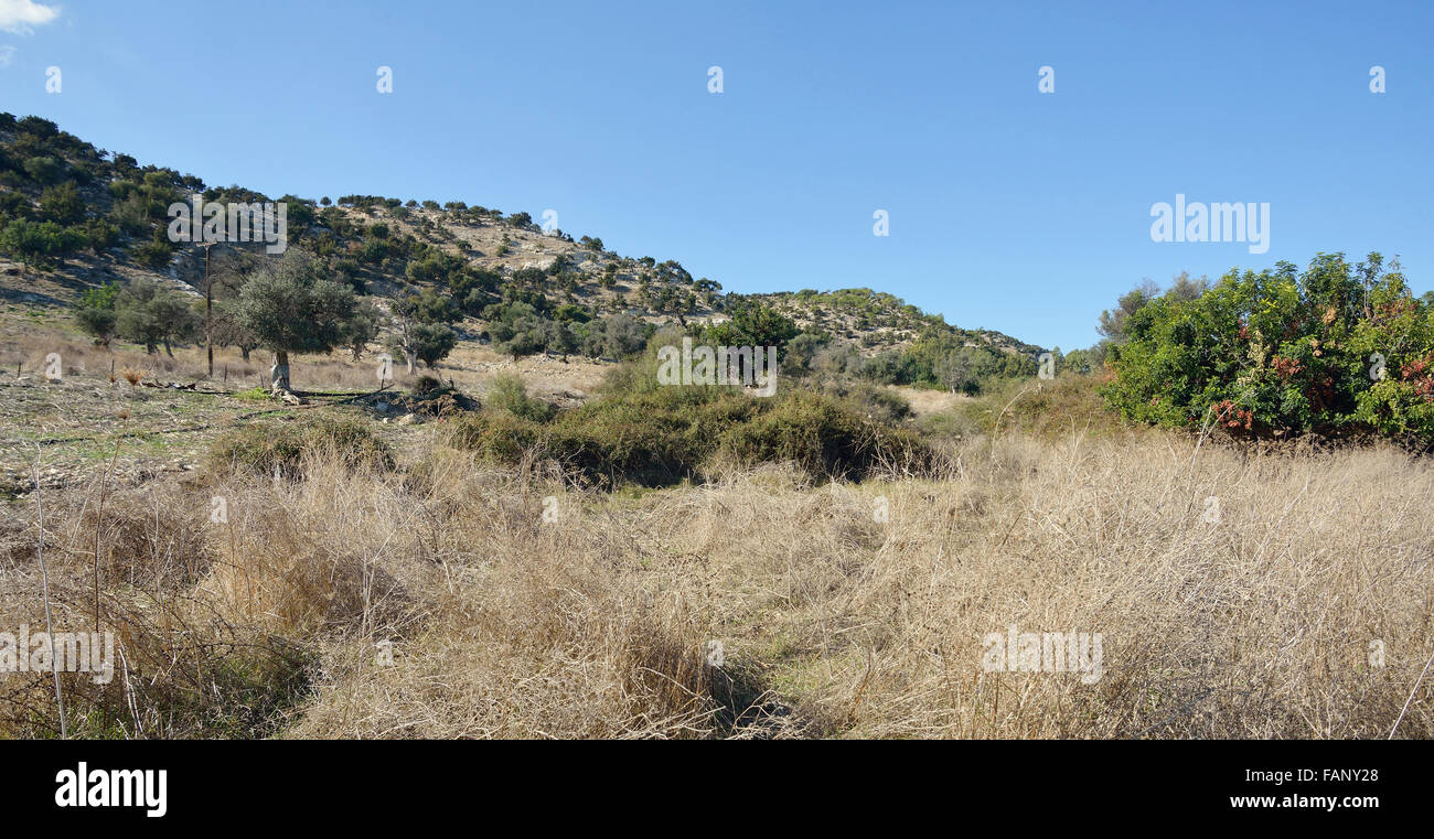 Garrigue Lebensraum, Akamas-Halbinsel, Zypern vor dem Winterregen Stockfoto