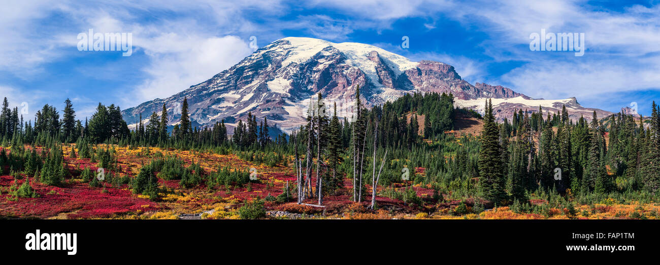 Mount Rainier im Herbst im Bereich Paradies Mount Rainer Nationalpark, Washington, USA Stockfoto