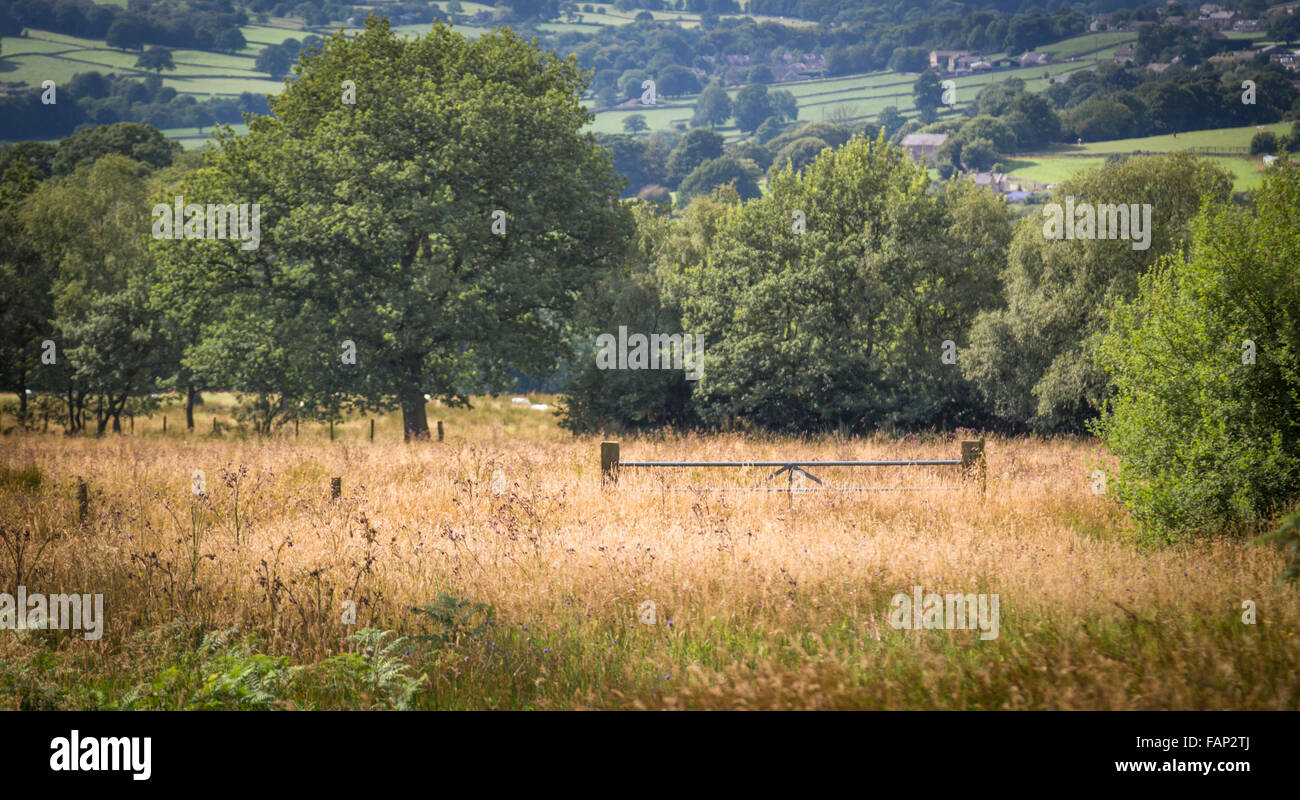 Ein Spaziergang im Land North Yorkshire Stockfoto