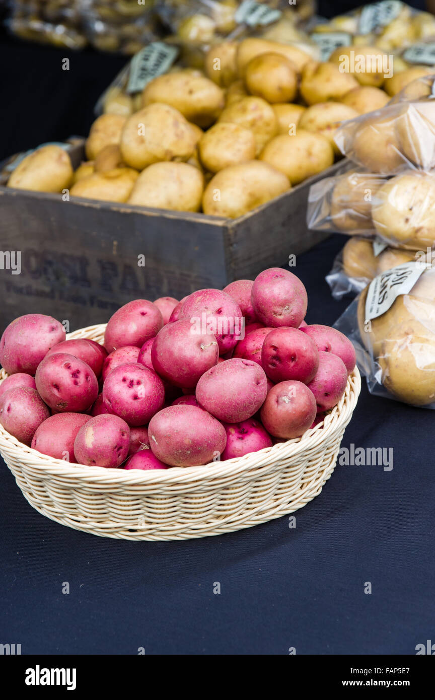 Korb mit roten Kartoffeln auf dem Bauernmarkt, Beaverton, Oregon, USA Stockfoto