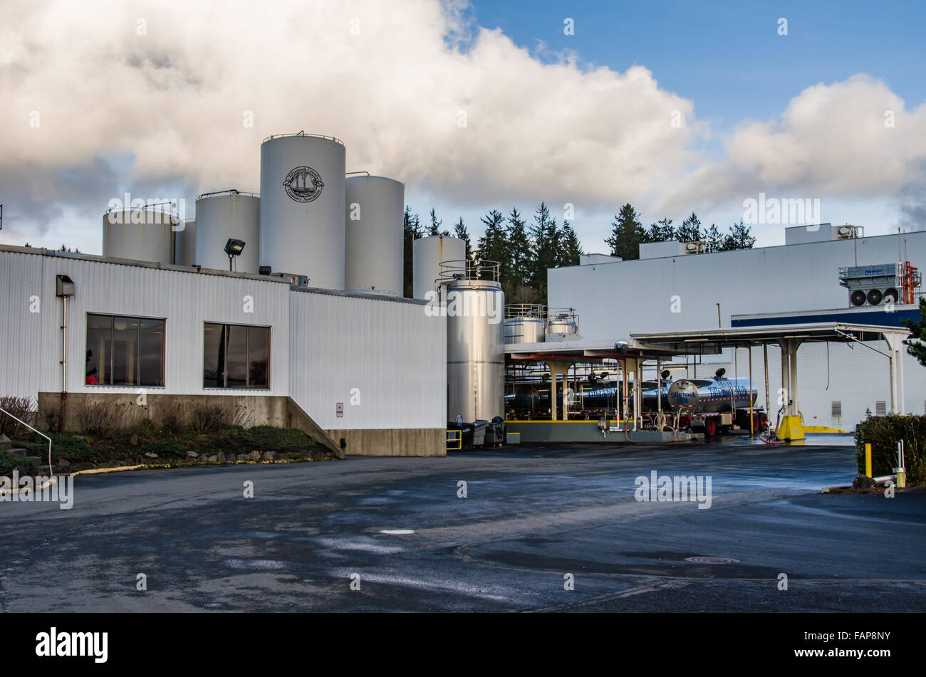 Ladefläche für Schüttgut-Milch-Transporter in Tillamook Käserei, Tillamook, Oregon, USA Stockfoto