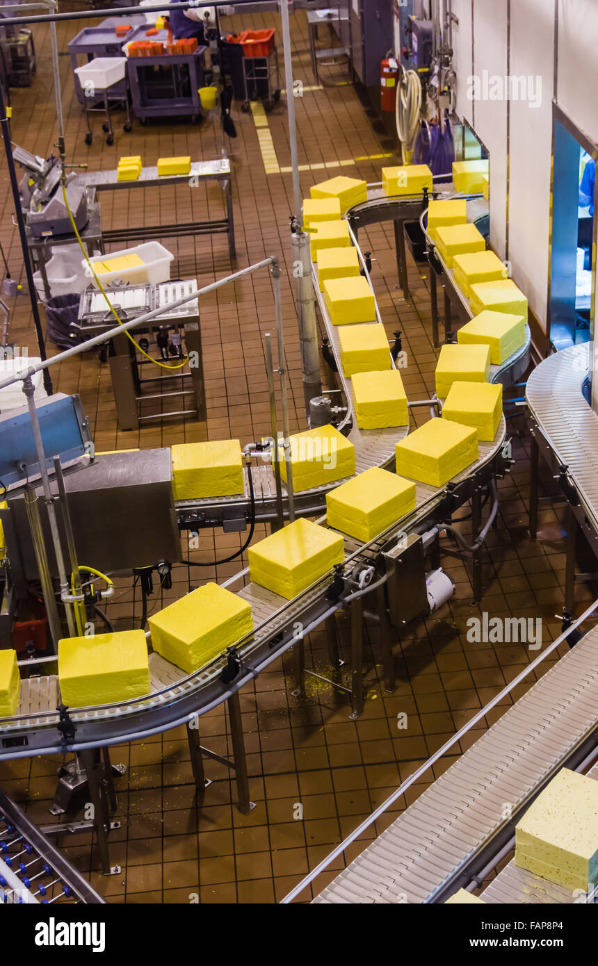 Mitarbeiter-Paket Käse auf der automatisierten Linie in Tillamook Käserei, Tillamook, Oregon, USA Stockfoto