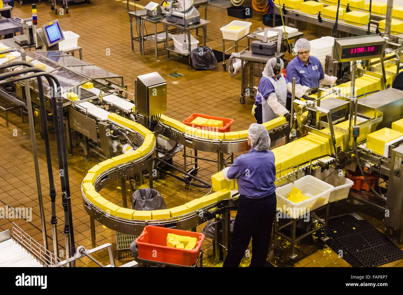 Mitarbeiter-Paket Käse auf der automatisierten Linie in Tillamook Käserei, Tillamook, Oregon, USA Stockfoto