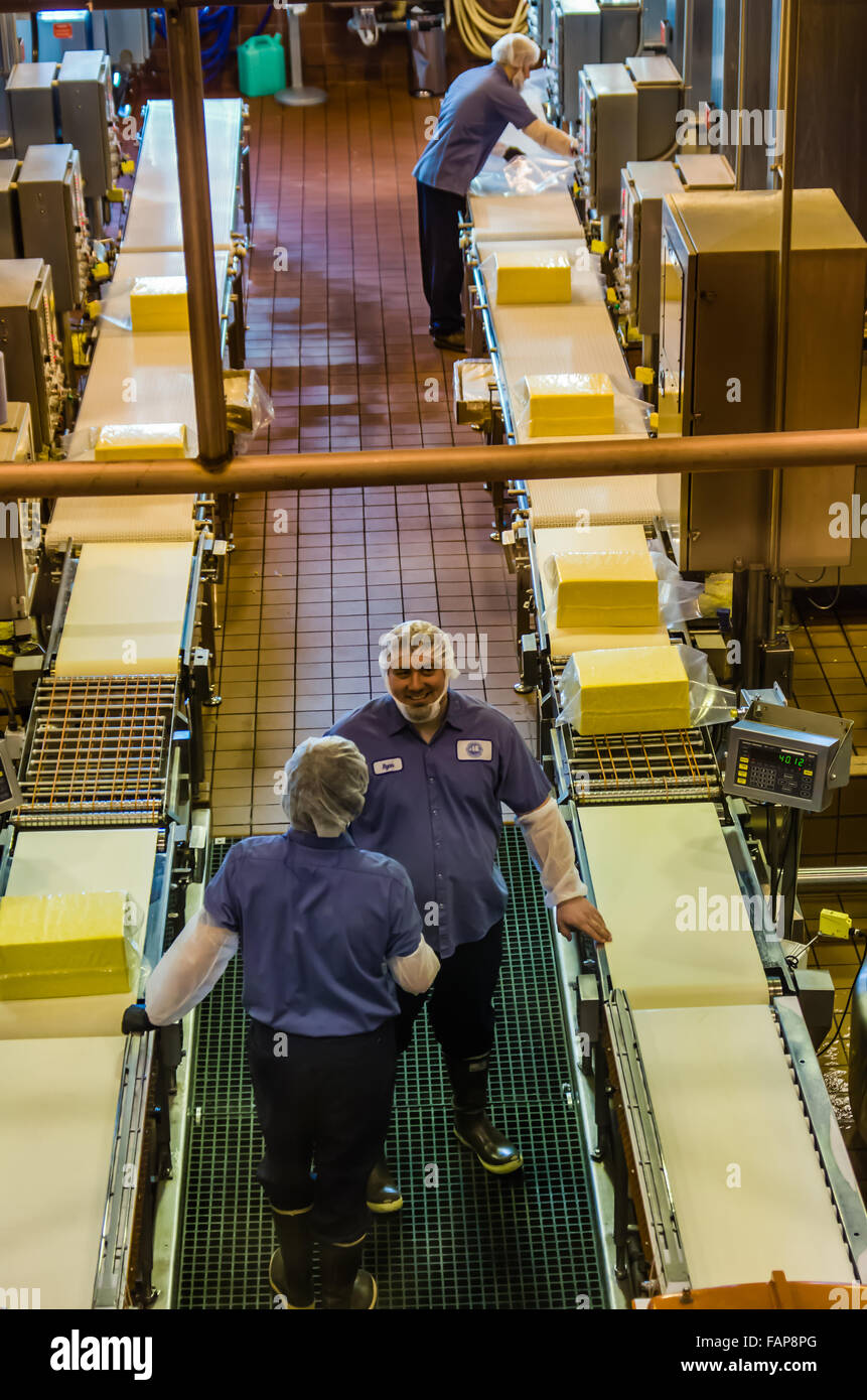 Arbeiter bereiten Käse für Lagerung und Alterung bei Tillamook Käserei, Tillamook, Oregon, USA Stockfoto