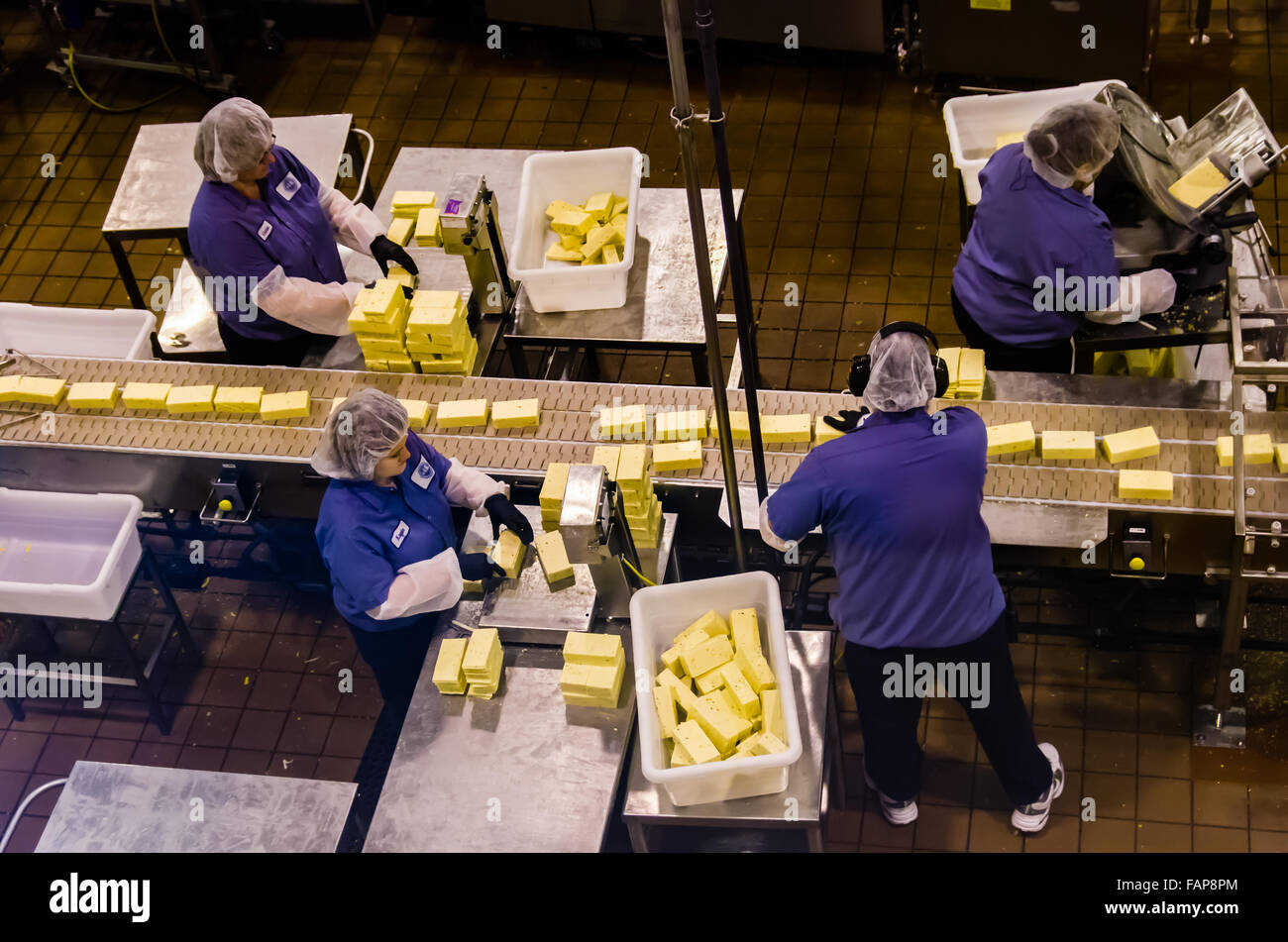 Arbeiter wiegen Blöcke von Käse für Verpackung und Versand in Tillamook Käserei, Tillamook, Oregon, USA Stockfoto