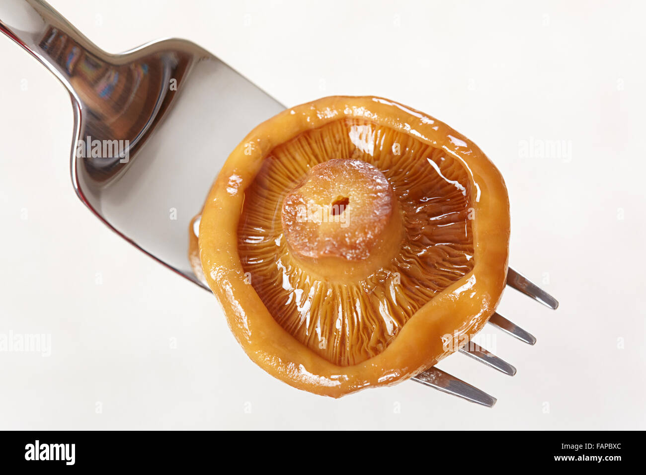 Salzige orangen Pilz auf einer Gabel-Nahaufnahme Stockfoto