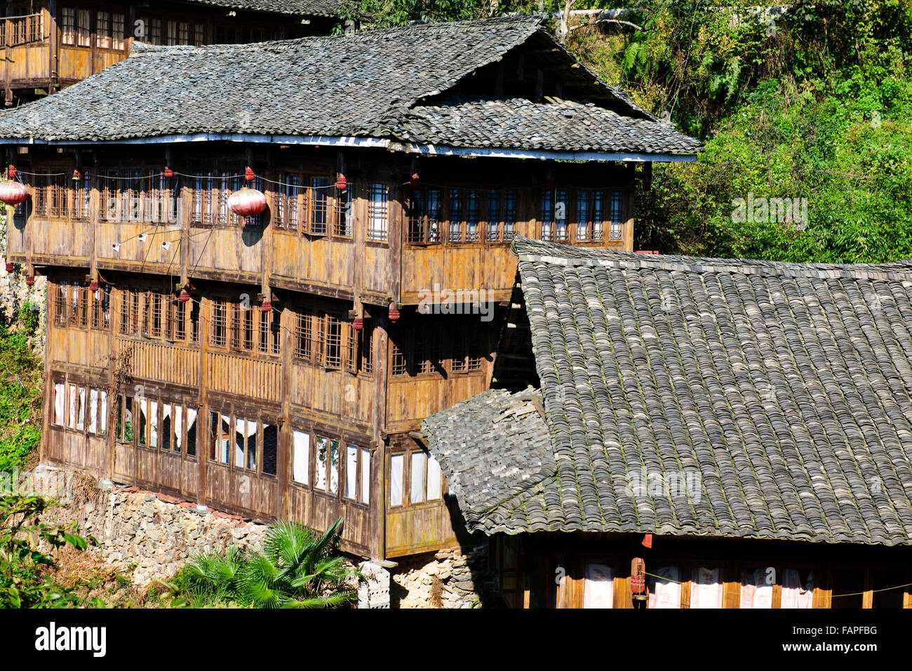 Longji Reisterrassen, Dazhai Dörfern, Bereich, Reis ernten, Zhuang und Yao Dörfer, Longsheng, Guangxi Provinz, VR China, Menschen " Stockfoto