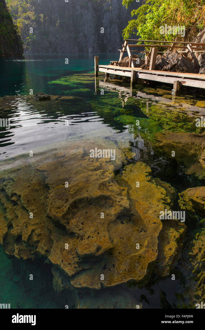 transparente Felsen in einer Lagune auf den Philippinen Stockfoto