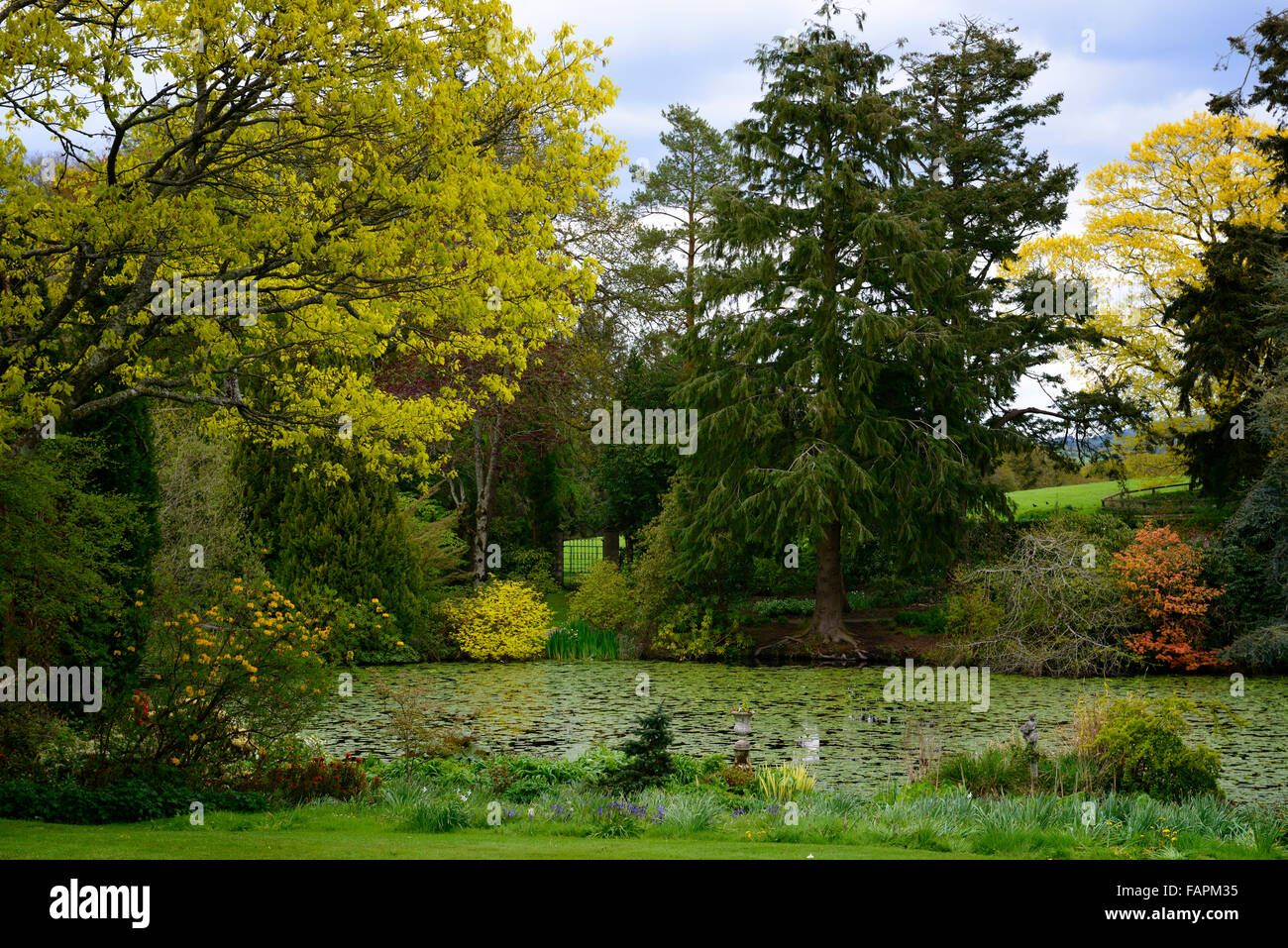 Lake anzeigen malerische Frühling Wachstum Farbe Farbe mehrjährige Herabaceous Pflanzung Altamont Gärten Carlow Irland RM Floral Stockfoto