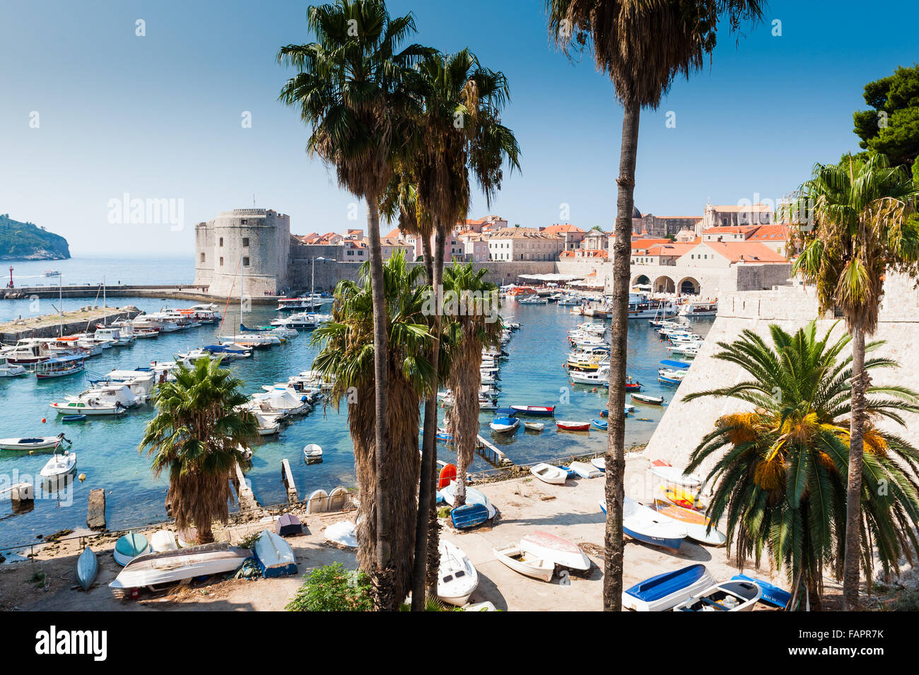 Blick von der alten Stadtmauer auf Dubrovnik Hafen, Dubrovnik, Dalmatien, Kroatien, Europa. Stockfoto