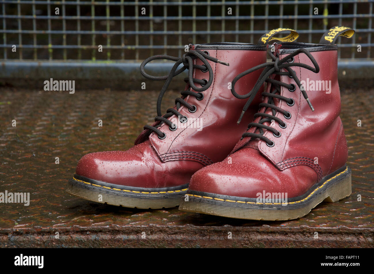 Ein paar kultige Cherry Red, 8 Loch, Doc Marten Schnürschuhe Stiefel, mit  klassischen gelben Nähten. Auf einem nassen rostiges Metall oberfläche.  Symbol im britischen Stil Stockfotografie - Alamy