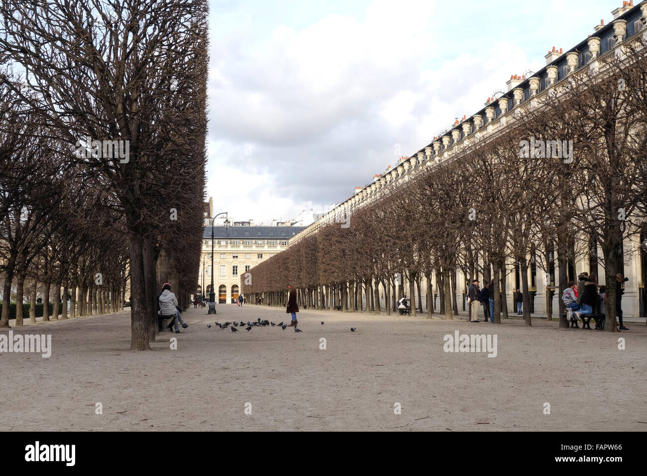 Palais-Royal, Jardin du Palais Royal, Garten, Park Standort, Paris, Frankreich. Stockfoto