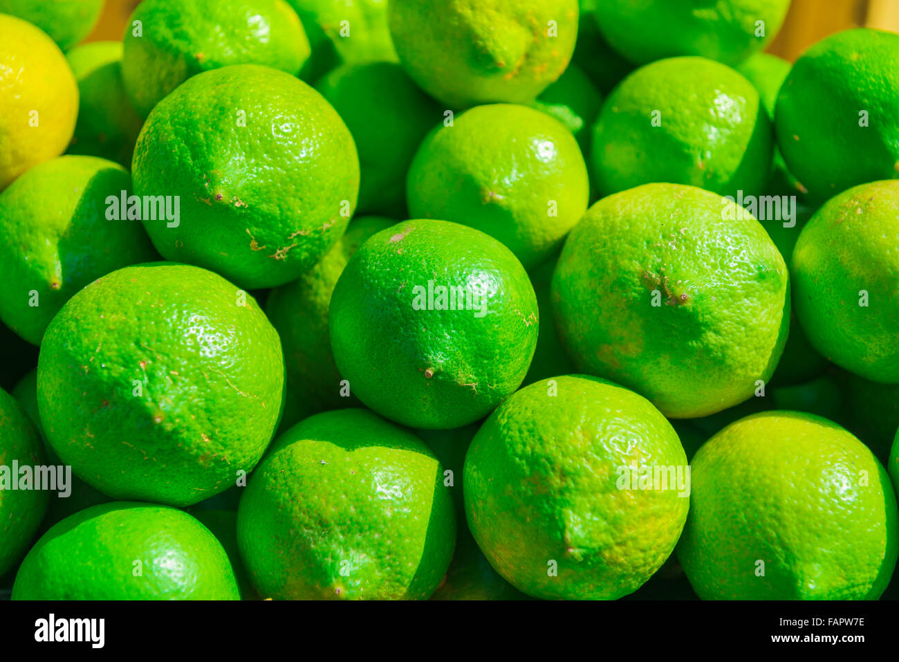 Grüne Zitrone, frische Zitronen zum Verkauf auf dem Markt in Syrakus (Siracusa), Sizilien. Stockfoto