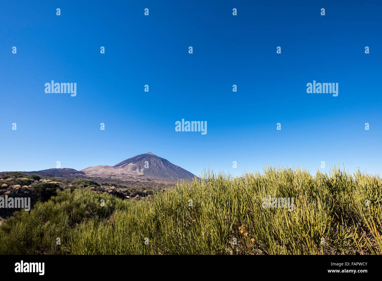 Ein Spaziergang durch die vulkanische Landschaft im Nationalpark Las Canadas del Teide auf Teneriffa, Kanarische Inseln, Spanien. Stockfoto