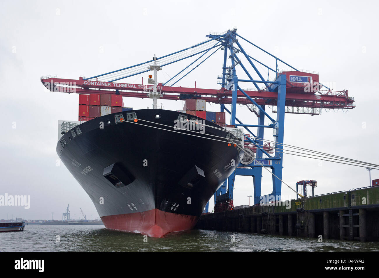 ´YM Witness´, Yang Ming, Container terminal ´Tollerort´, Hafen, Hamburg, Deutschland Stockfoto