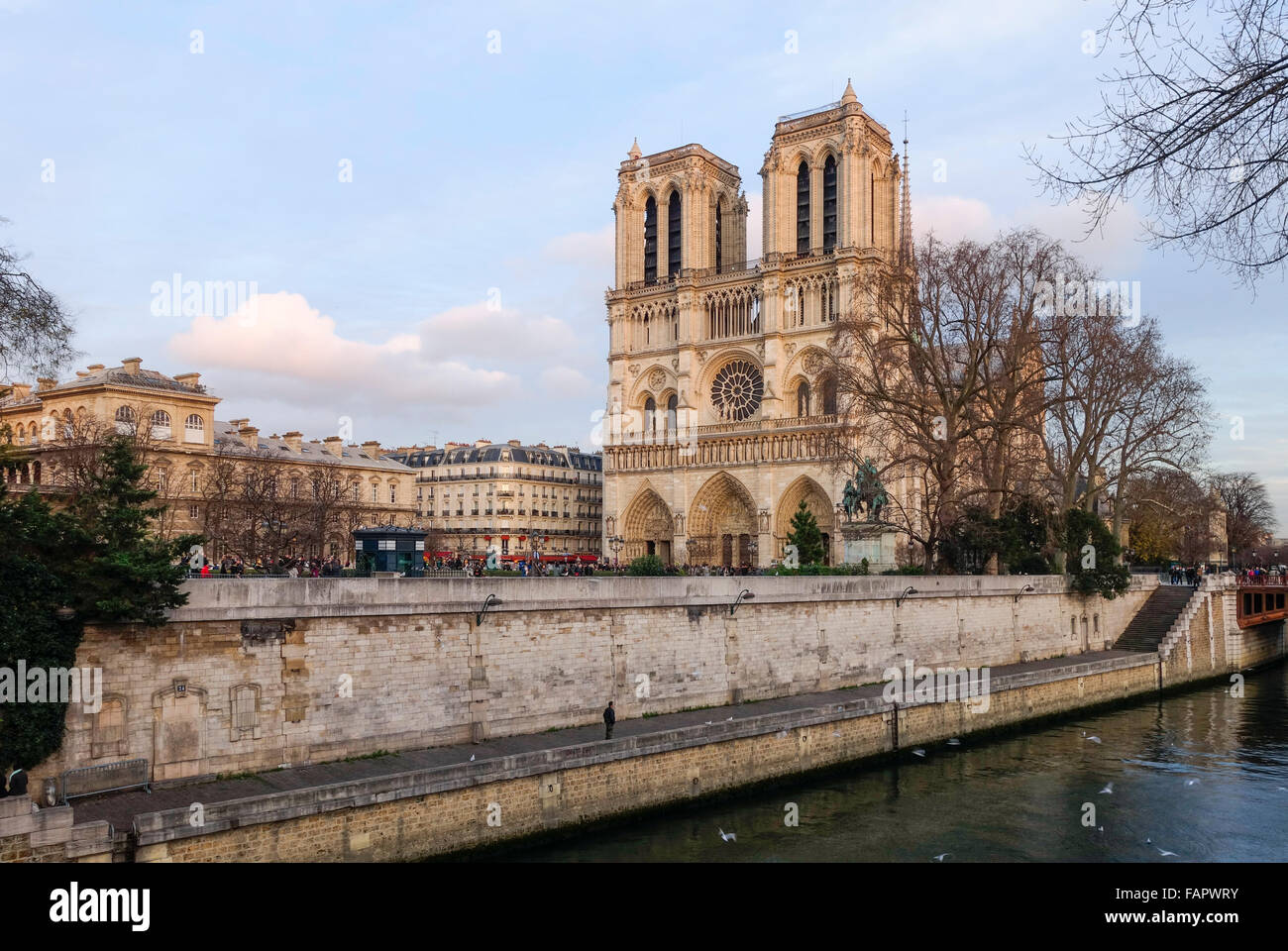 Die Kathedrale Notre-Dame im vierten Arrondissement, Ile De La Cite, Paris. Frankreich. Stockfoto