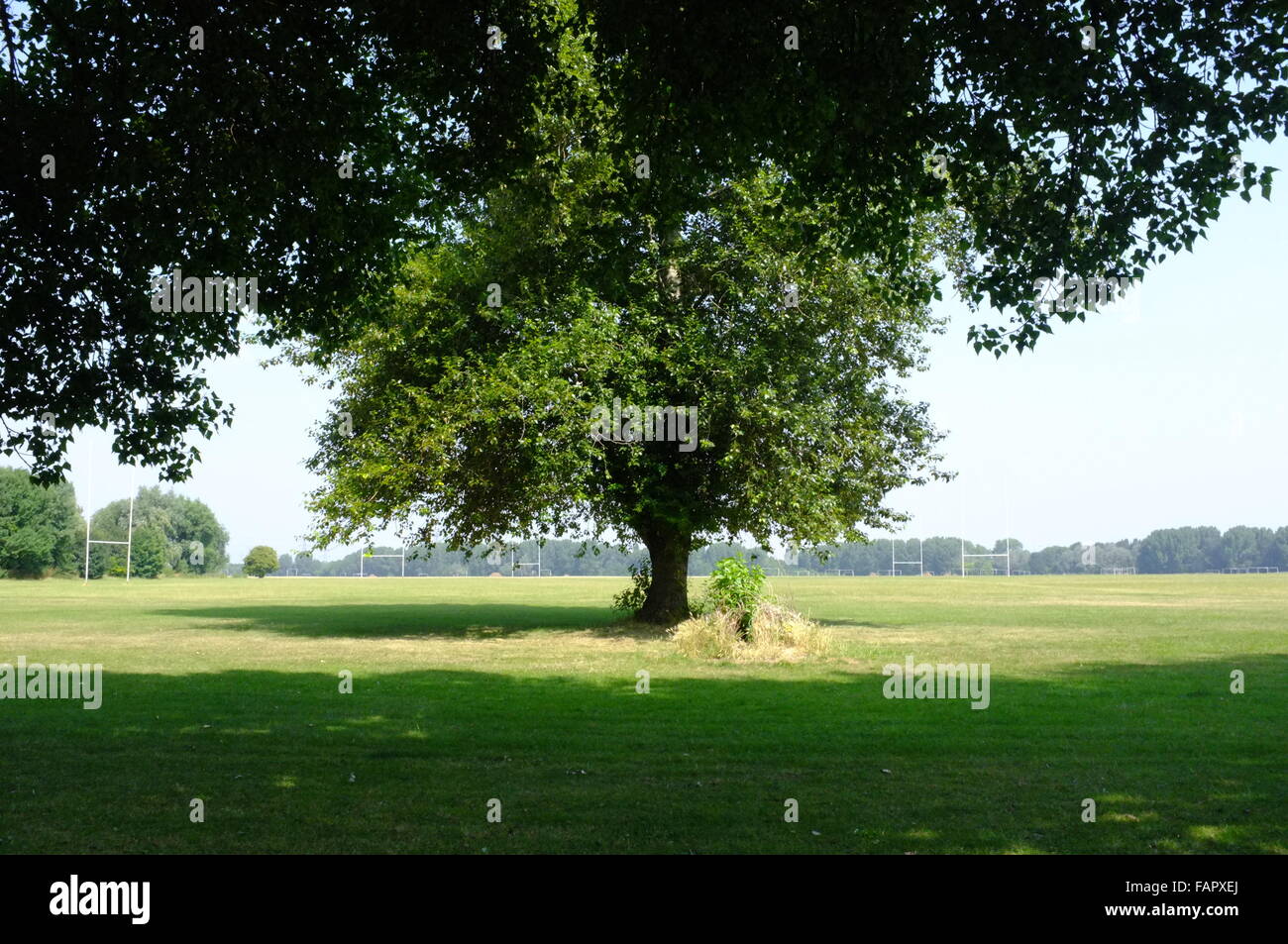 Ansicht von Hackney Sümpfen bei gutem Wetter mit Bäumen im Vordergrund. Stockfoto