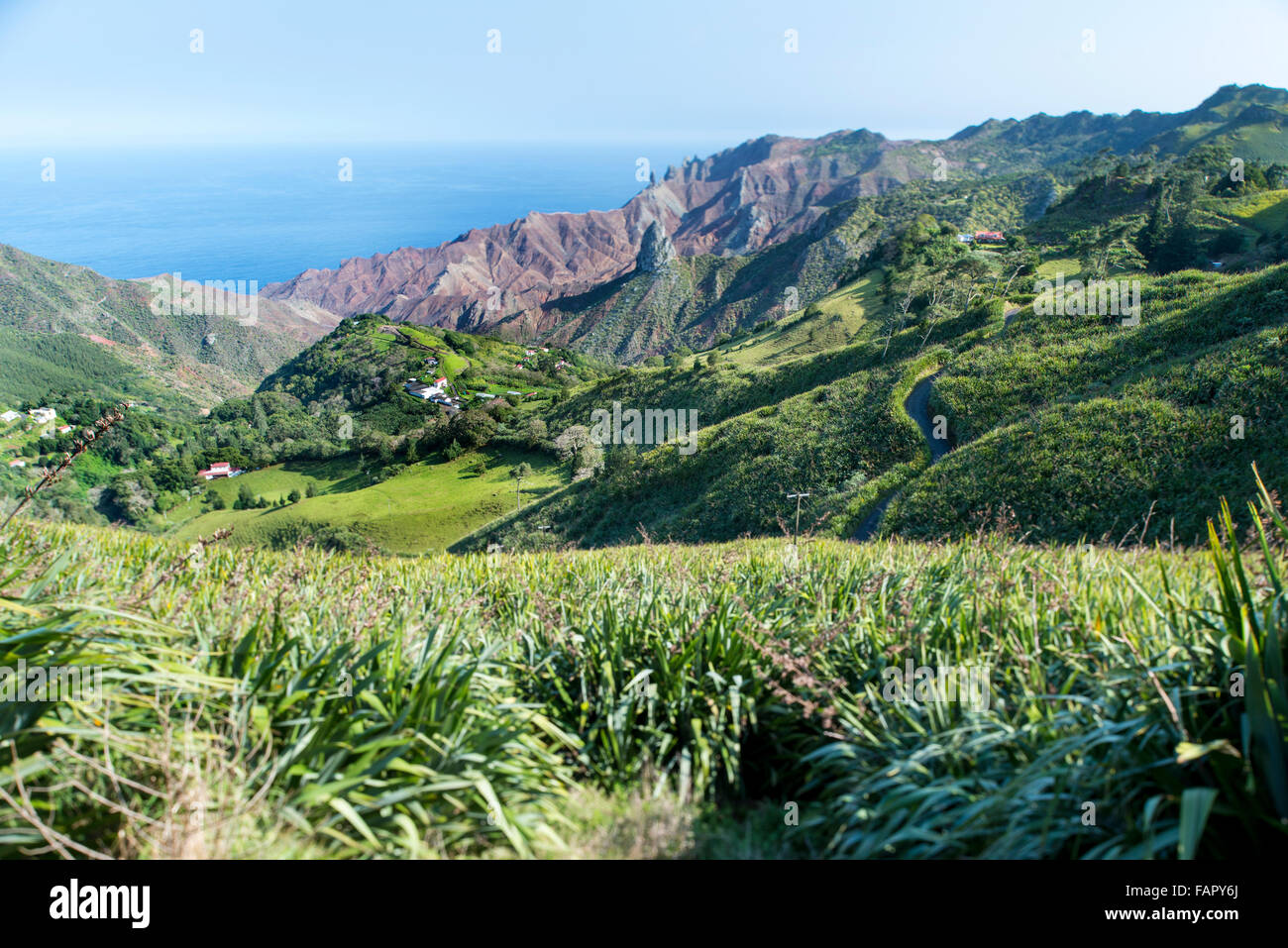 St. Helena Island Süd-Atlantik viel & viele Frau Formationen auf der Südseite von St. Helena mit Flachs wächst im Vordergrund Stockfoto