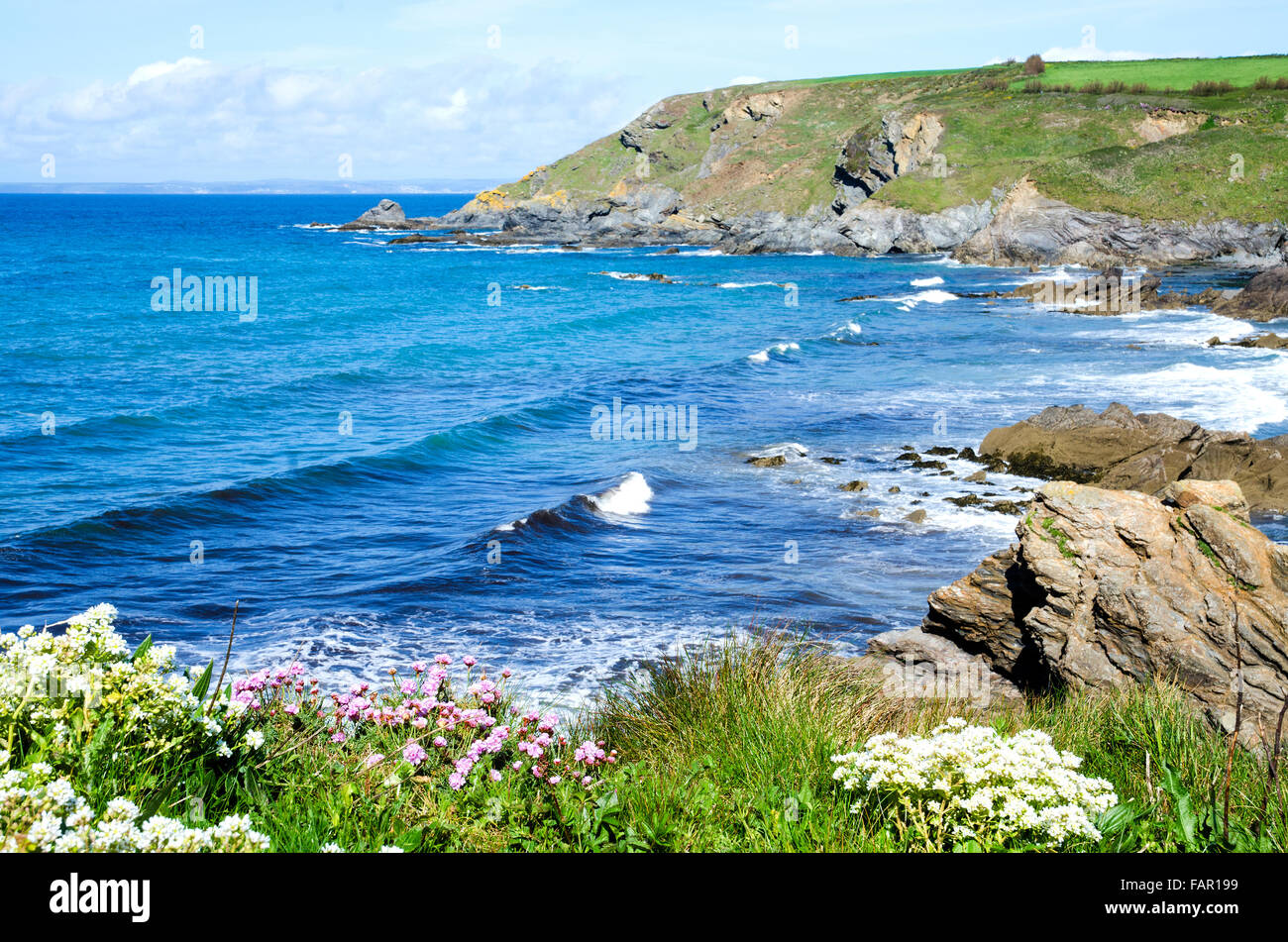 Dollar-Bucht bei Gunwalloe in Cornwall, England, UK Stockfoto
