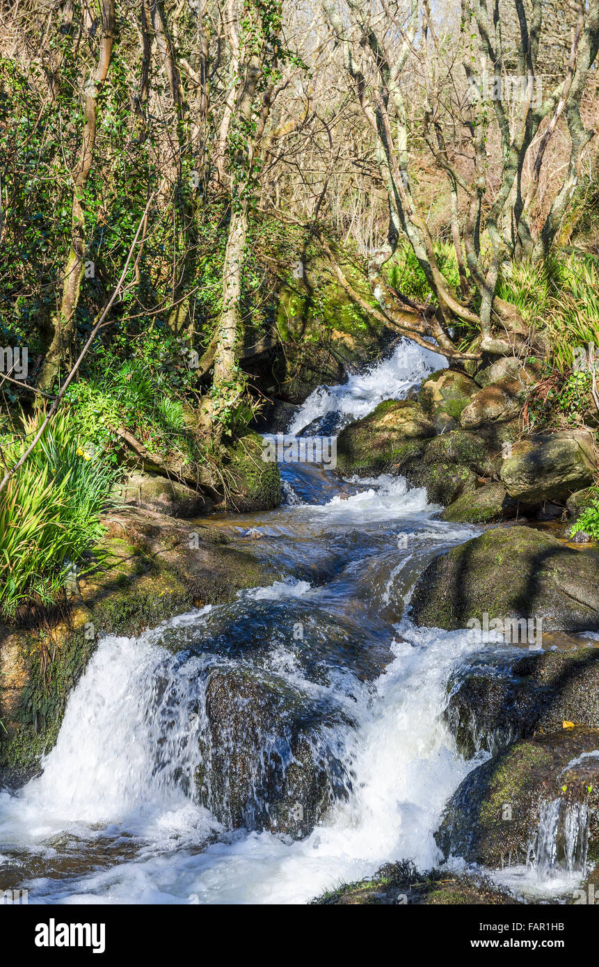 Fluss, der durch später Tal in Cornwall, England, UK Stockfoto