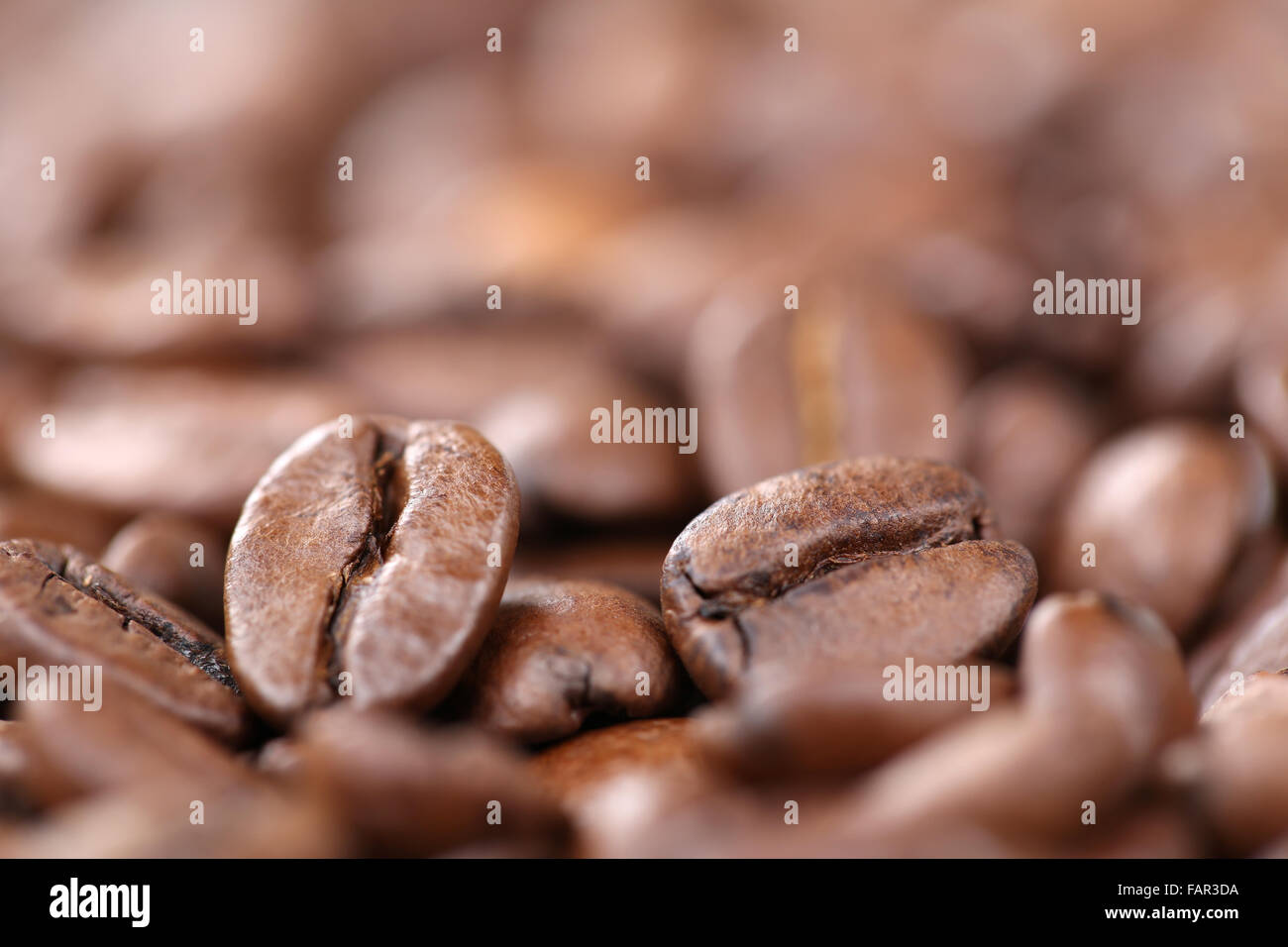 Frische Kaffeebohnen mit Exemplar Arabica Espresso Stockfoto