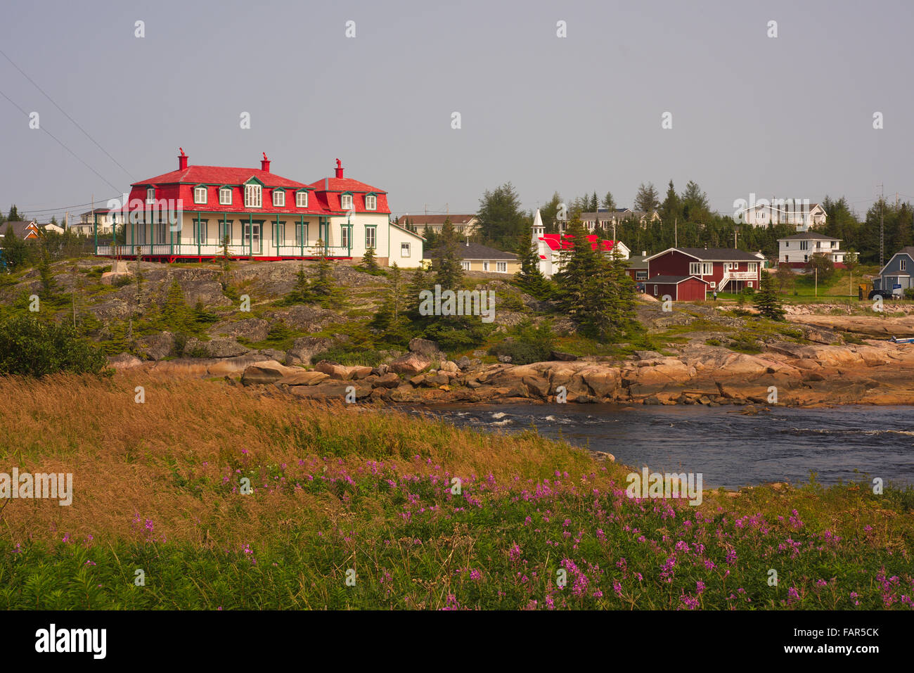 Malerische Stadt Johann Beetz an Küste mit Arm des Meeres sichtbar.  Nord Ost Quebec.  Violette Feuer Unkraut Blumen im Vordergrund. Stockfoto