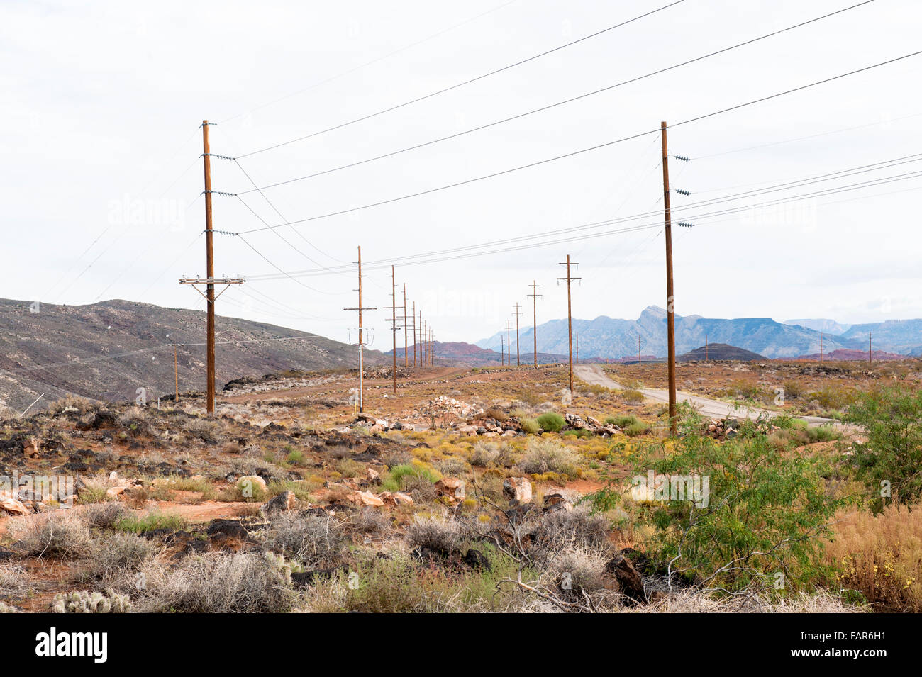 Stromleitungen in einem Feld in der Nähe von Springdale, Utah, USA. Stockfoto
