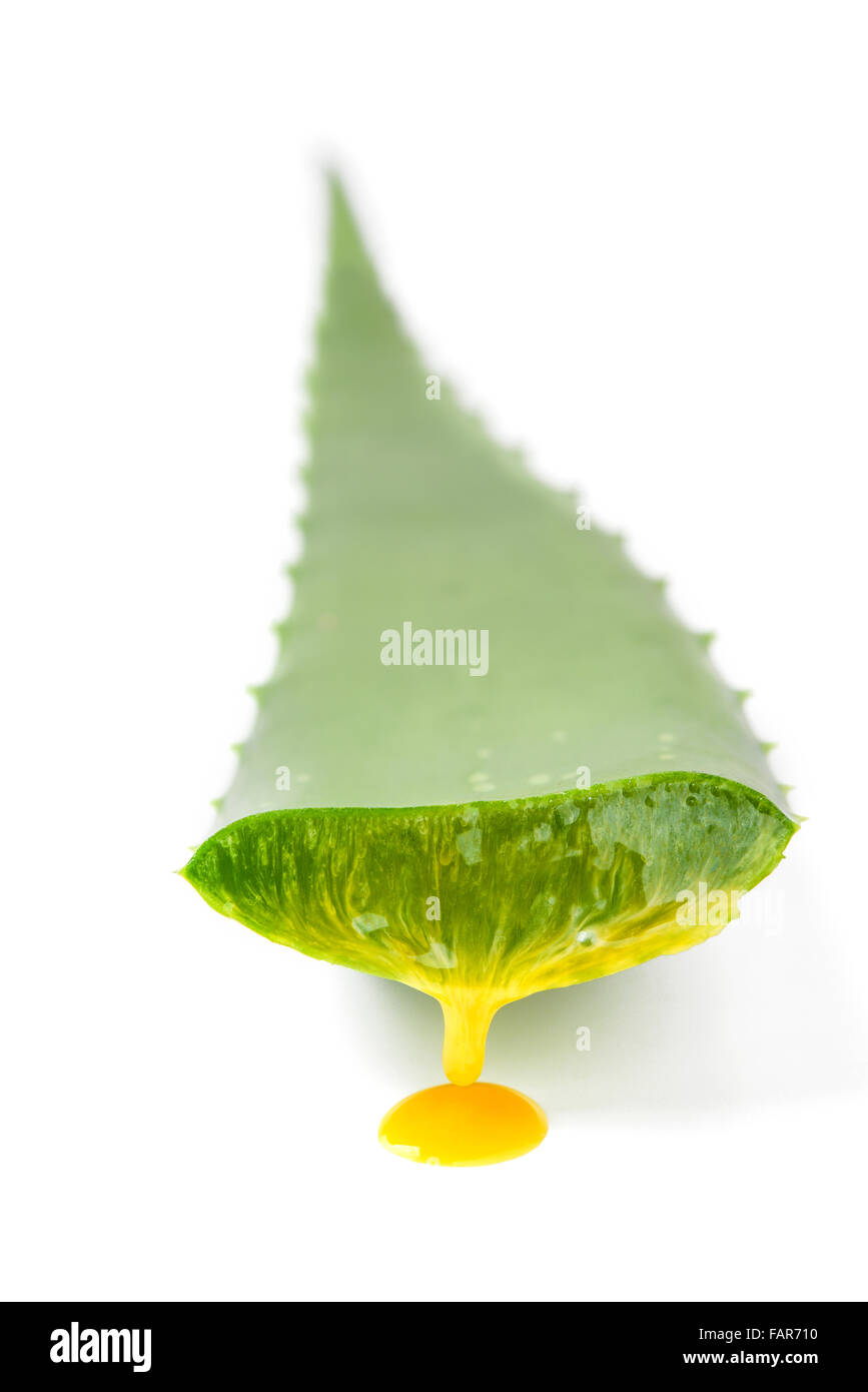 Aloe Vera gel Stockfoto