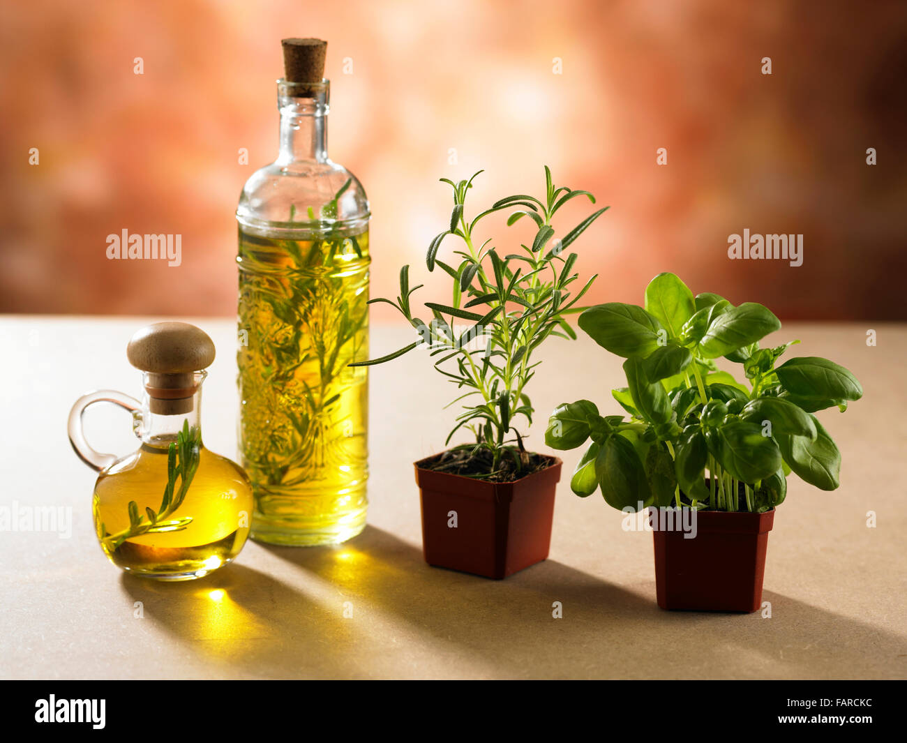 Stock Bild von Olivenöl und Kräuter Pflanzen Stockfoto