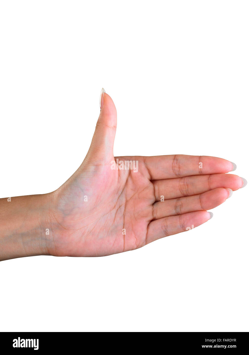 Leere Hand isoliert auf einfarbigen Hintergrund. Stockfoto