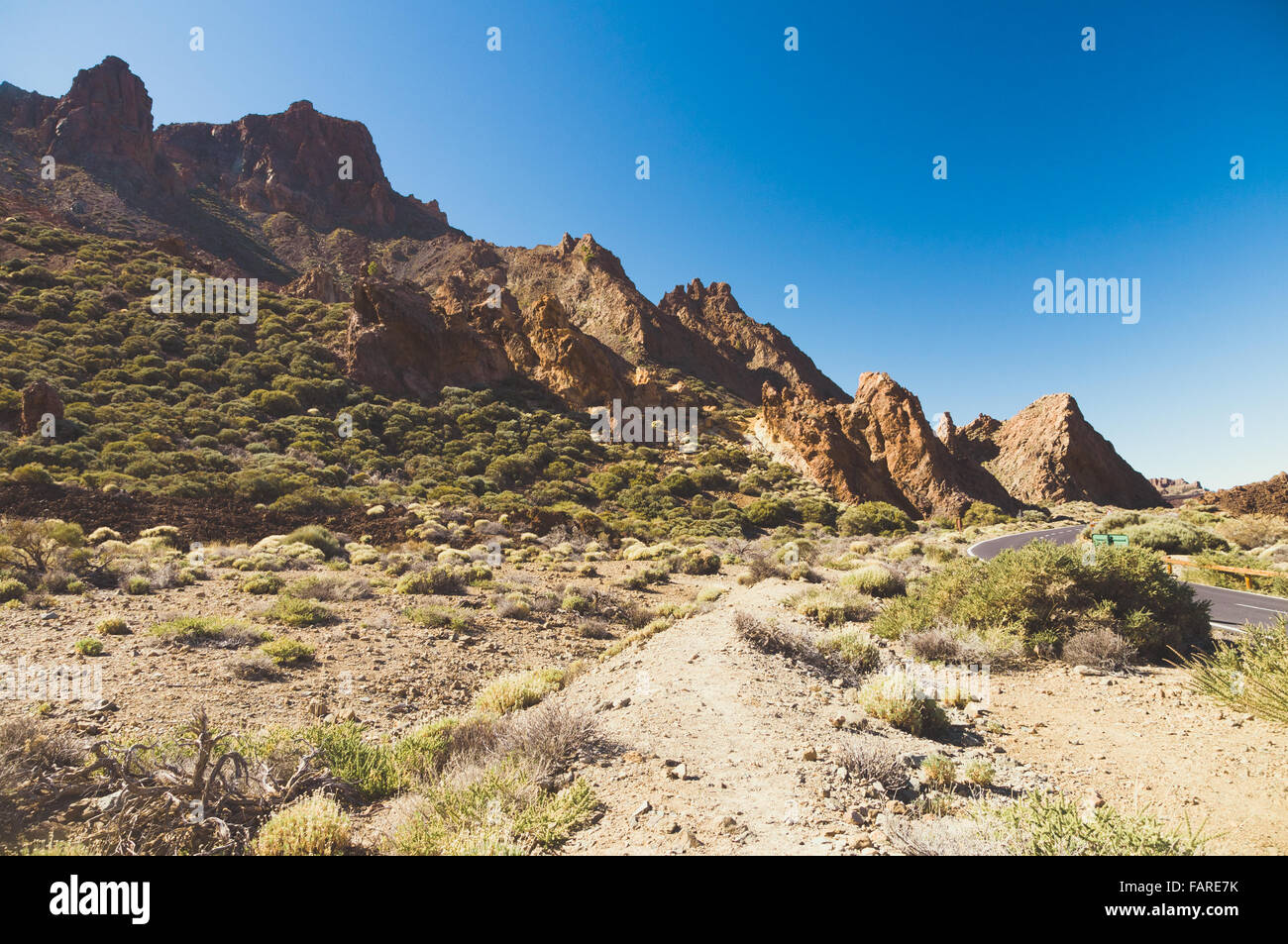 Kargen Landschaft der Nationalpark Teide, Teneriffa, Kanarische Inseln, Spanien Stockfoto