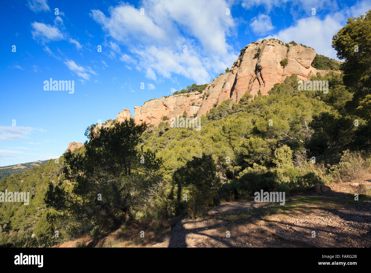 Felsen und Wald. Sant Llorenc del Munt ich Naturpark Serra de l'Obac. Provinz Barcelona. Catalunya. Spanien. Stockfoto