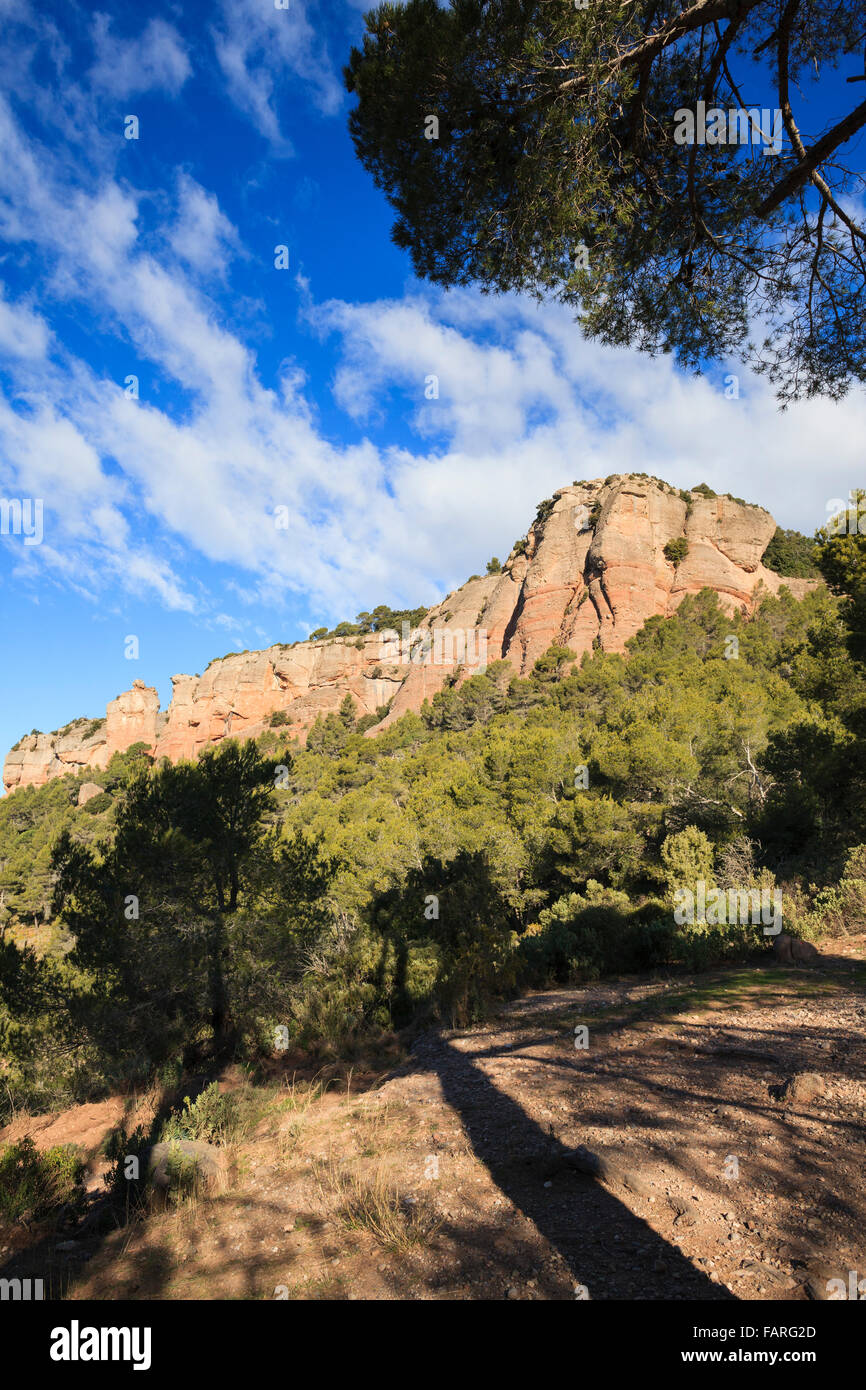 Felsen und Wald. Sant Llorenc del Munt ich Naturpark Serra de l'Obac. Provinz Barcelona. Catalunya. Spanien. Stockfoto