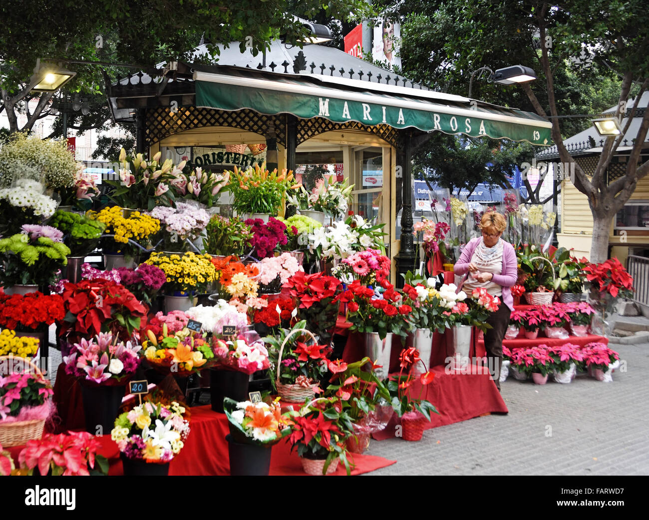 Tägliche Outdoor-Blume Markt Malaga Spanisch Spanien Andalusien Stockfoto