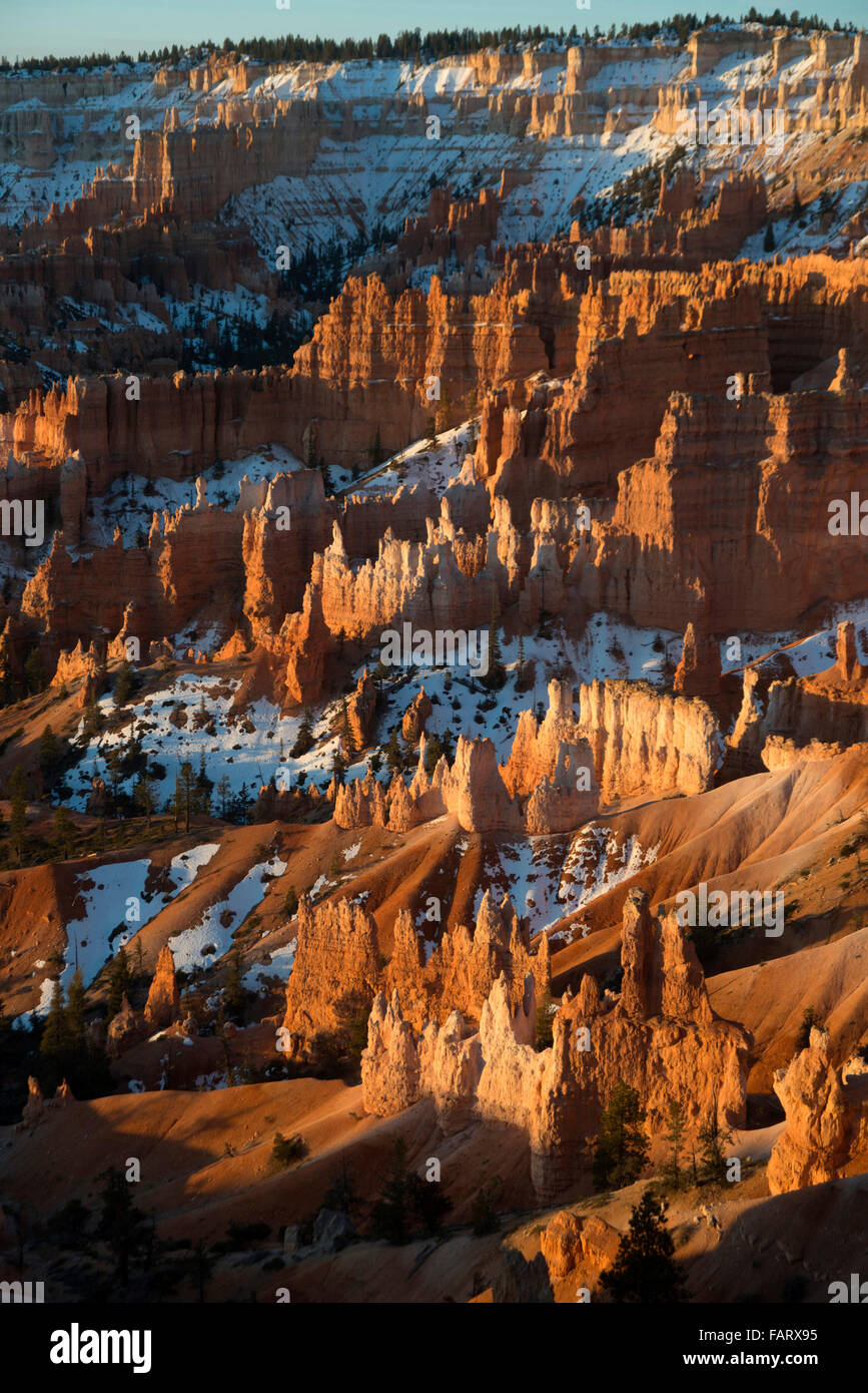 Sonnenaufgang am Bryce-Canyon-Nationalpark, Utah, USA. Stockfoto