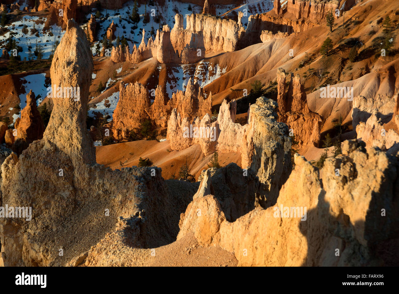 Bryce-Canyon-Nationalpark, Utah, USA. Kalkstein roten Sandsteinfelsen Zinnen, erodiert und über Jahrhunderte überstanden. Stockfoto