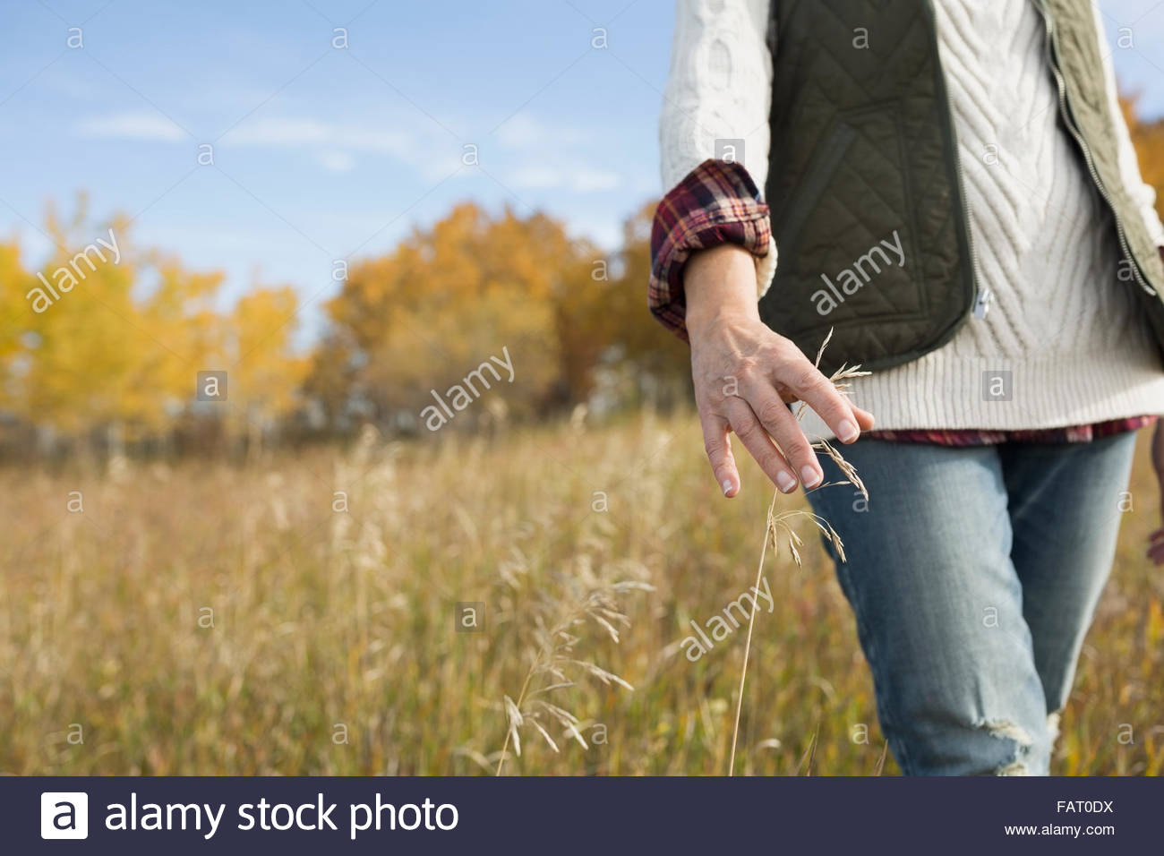 Frau zu Fuß im Herbst Feld berühren hohe Gräser Stockfoto