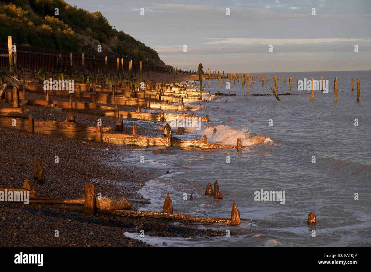 Hölzerne leisten oder Wellenbrecher an der Nordseeküste, Bawdsey Fähre, Suffolk, UK. Stockfoto