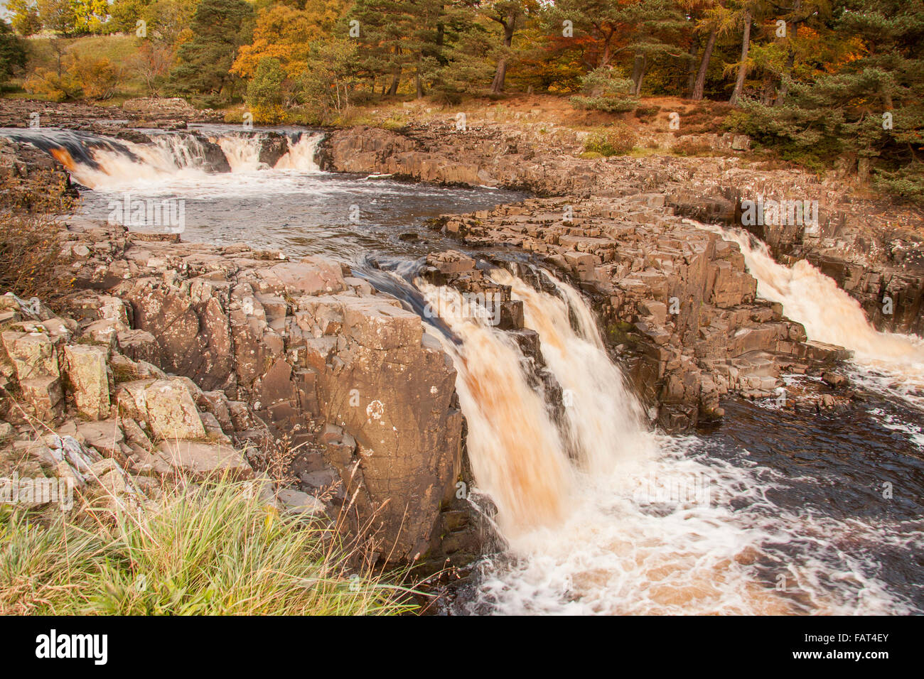 Ein Blick auf die Wasserfälle auf River Tees bei niedrigen Force,Teesdale,Co.Durham mit den Bäumen in ihrer Herbstfärbung Stockfoto