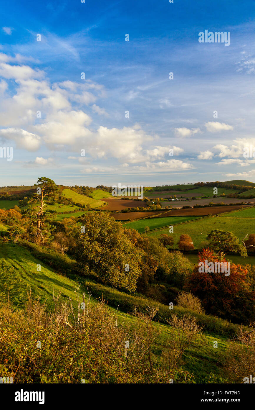 Die Ansicht des Parrock Hügels vom Gipfel des Hügels historischen Cadbury in Somerset, England, UK Stockfoto