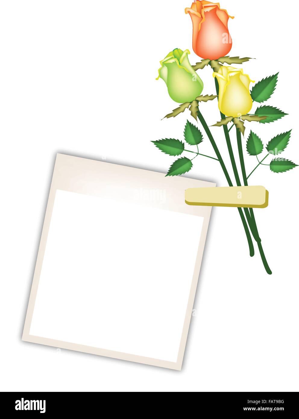 Liebe Konzept, Illustration von schönen Orange, gelbe und grüne Rosen mit leeren Sofortbild-Prints oder Polaroid Rahmen isoliert Stock Vektor