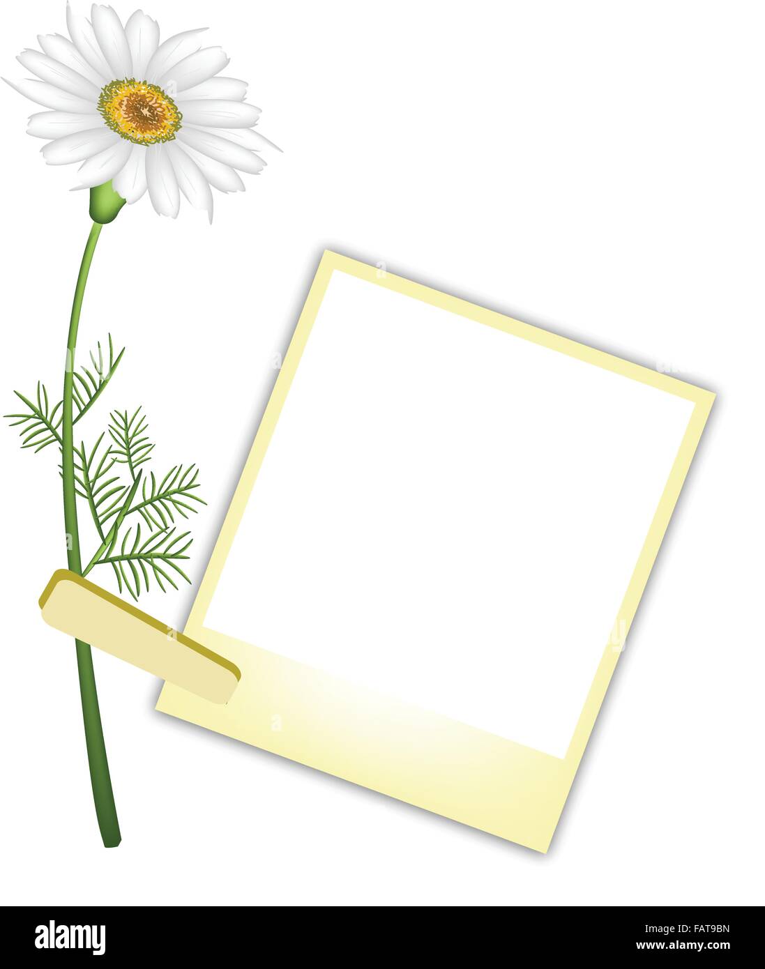 Liebe Konzept, Illustration einer schönen White Daisy oder Kamille Blüte mit gelben leer Sofortbild-Prints oder Polaroid-Rahmen Stock Vektor